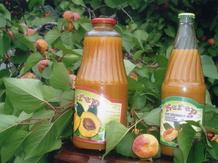 «Сок абрикосовый  с мякотью»      ГОСТ Р 52186-2003